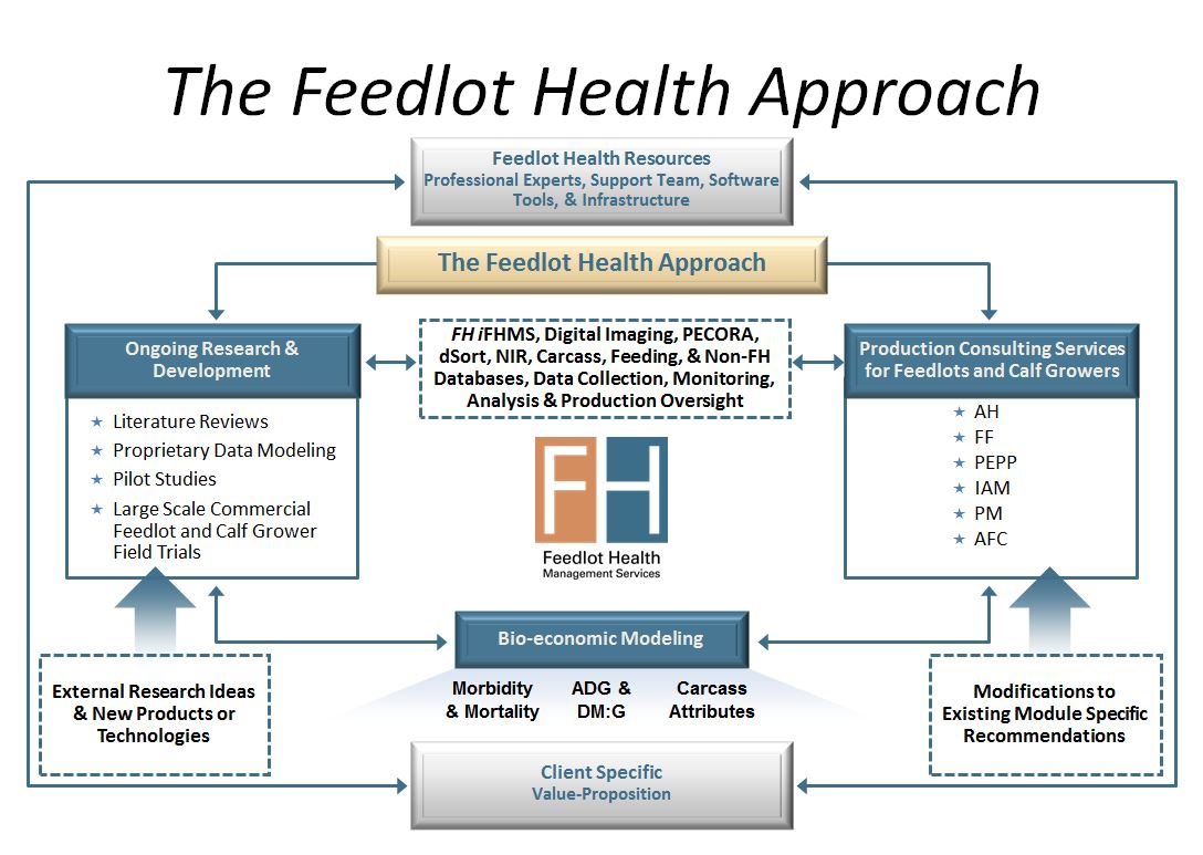Our Services | Feedlot Health Management Services Our Services | Feedlot Health Management Services